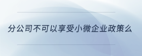 分公司不可以享受小微企業(yè)政策么