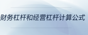 財務杠桿的公式