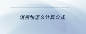 消費(fèi)稅怎么計(jì)算公式