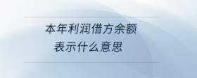 本年利潤借方余額表示什么意思