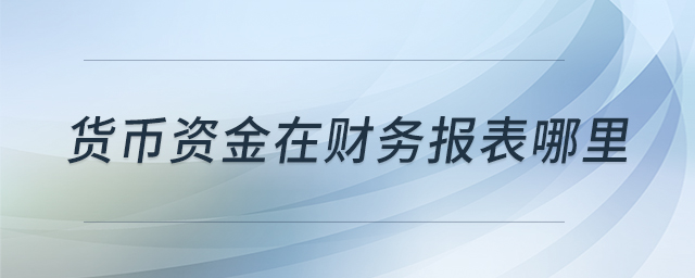 貨幣資金在財務(wù)報表哪里