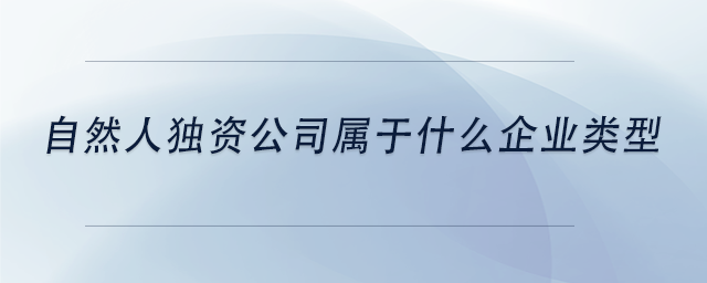 中級(jí)會(huì)計(jì)自然人獨(dú)資公司屬于什么企業(yè)類型