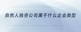 自然人獨(dú)資公司屬于什么企業(yè)類型