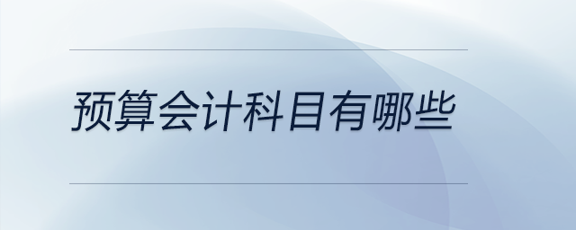 預(yù)算會計科目有哪些