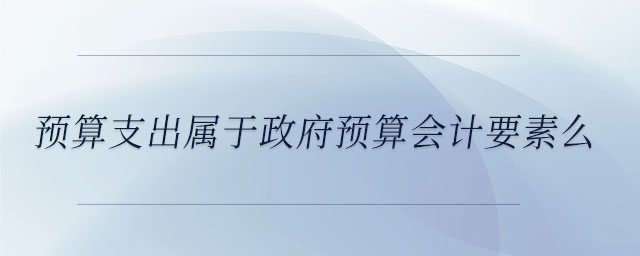 預(yù)算支出屬于政府預(yù)算會(huì)計(jì)要素么
