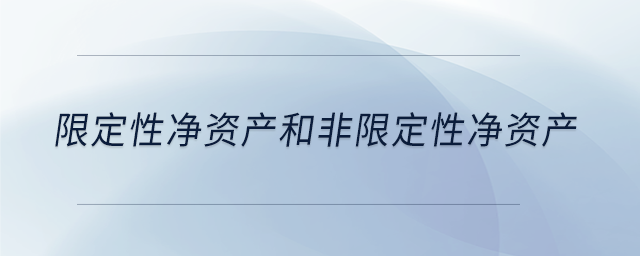 限定性凈資產(chǎn)和非限定性凈資產(chǎn)