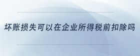 壞賬損失可以在企業(yè)所得稅前扣除嗎