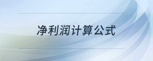 凈利潤計算公式
