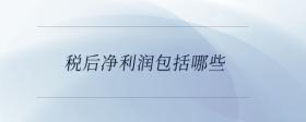 稅后凈利潤(rùn)包括哪些