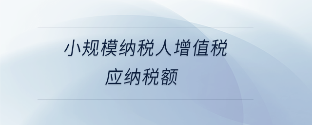 小規(guī)模納稅人增值稅應(yīng)納稅額