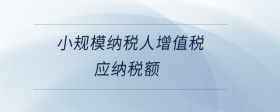 小規(guī)模納稅人增值稅應(yīng)納稅額
