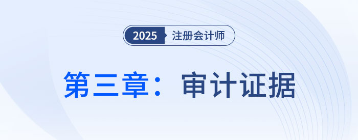 第三章審計(jì)證據(jù)_2025年注會(huì)審計(jì)習(xí)題隨章演練