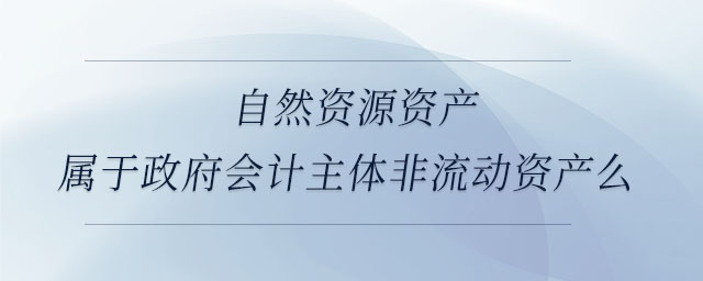 自然資源資產(chǎn)屬于政府會計主體非流動資產(chǎn)么