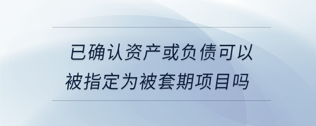已確認(rèn)資產(chǎn)或負(fù)債可以被指定為被套期項目嗎