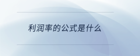 利潤(rùn)率的公式是什么