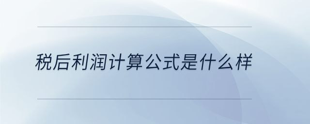 稅后利潤計算公式是什么樣