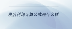 稅后利潤(rùn)計(jì)算公式是什么樣