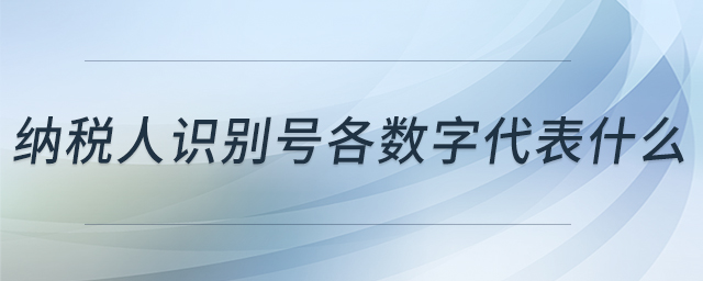 納稅人識(shí)別號(hào)各數(shù)字代表什么