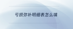 虧損彌補(bǔ)明細(xì)表怎么填