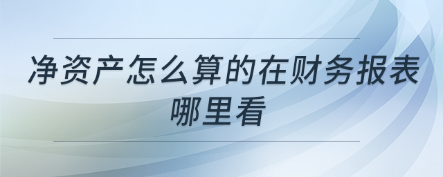 凈資產(chǎn)怎么算的在財(cái)務(wù)報(bào)表哪里看