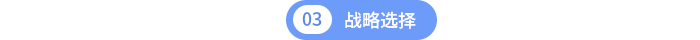 戰(zhàn)略選擇
