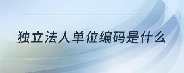 獨立法人單位編碼是什么