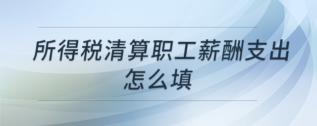 所得稅清算職工薪酬支出怎么填