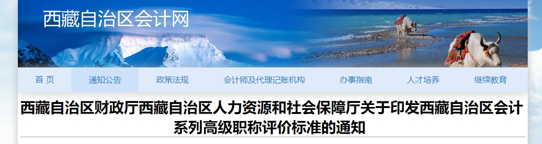 關(guān)于印發(fā)西藏高級會計(jì)師職稱評價標(biāo)準(zhǔn)的通知