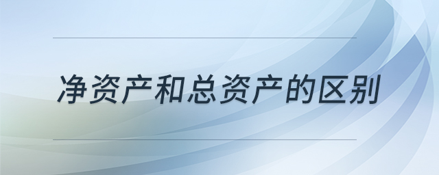 凈資產和總資產的區(qū)別