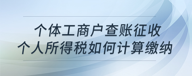個(gè)體工商戶(hù)查賬征收個(gè)人所得稅如何計(jì)算繳納