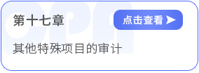第十七章其他特殊項(xiàng)目的審計(jì)