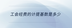 工會(huì)經(jīng)費(fèi)的計(jì)提基數(shù)是多少