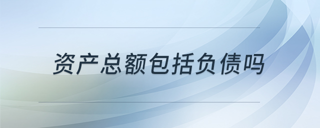 資產(chǎn)總額包括負債嗎