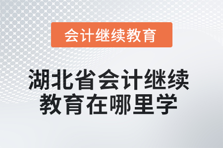 2025年湖北省會計繼續(xù)教育在哪里學？