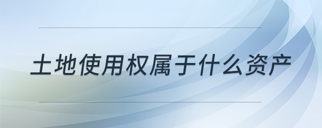 土地使用權屬于什么資產