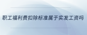 職工福利費扣除標(biāo)準(zhǔn)屬于實發(fā)工資嗎