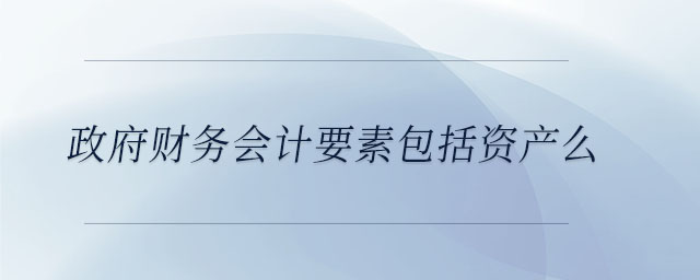 政府財(cái)務(wù)會(huì)計(jì)要素包括資產(chǎn)么