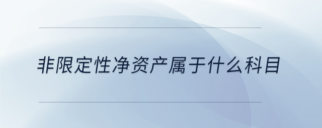 非限定性凈資產(chǎn)屬于什么科目