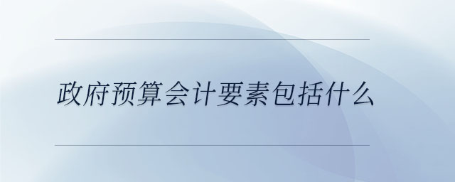 政府預(yù)算會(huì)計(jì)要素包括什么