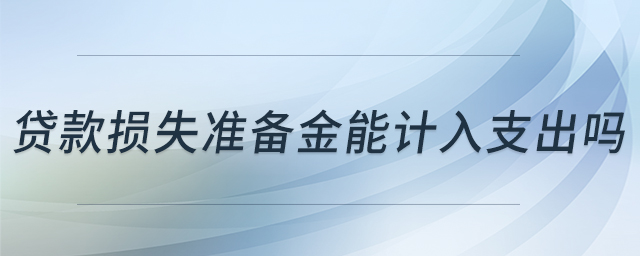 貸款損失準(zhǔn)備金能計入支出嗎