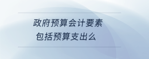 政府預算會計要素包括預算支出么