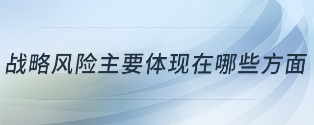 戰(zhàn)略風險主要體現在哪些方面