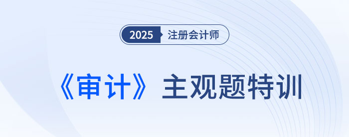 實(shí)質(zhì)性程序_2025注會審計主觀題特訓(xùn)
