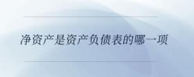 凈資產(chǎn)是資產(chǎn)負債表的哪一項
