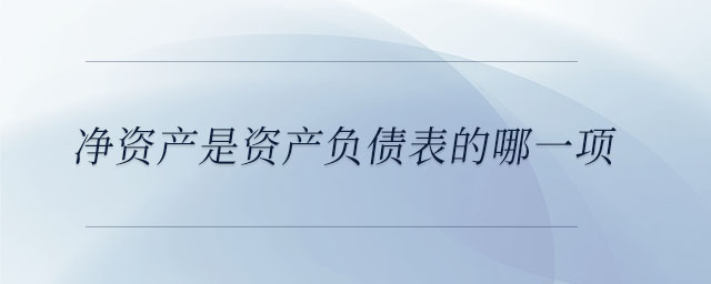 凈資產(chǎn)是資產(chǎn)負(fù)債表的哪一項