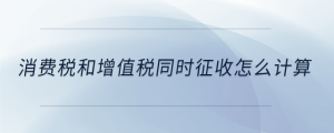 消費(fèi)稅和增值稅同時(shí)征收怎么計(jì)算