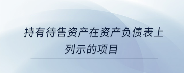 持有待售資產(chǎn)在資產(chǎn)負(fù)債表上列示的項(xiàng)目