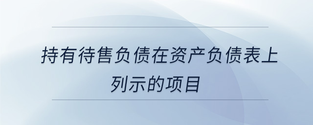 持有待售負(fù)債在資產(chǎn)負(fù)債表上列示的項(xiàng)目