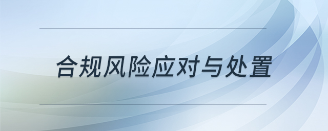 合規(guī)風(fēng)險(xiǎn)應(yīng)對與處置