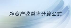 凈資產(chǎn)收益率計(jì)算公式